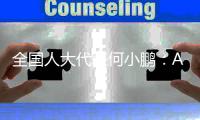 全国人大代表何小鹏
：AI会加大科技与制造公司间的差距