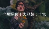 全屋吊顶十大品牌：丰富产品线 发挥自身优势