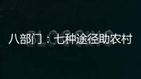 八部门�	：七种途径助农村残疾人就业增收