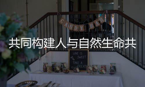 提高贵州可再生能源消纳水平