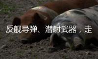 反舰导弹、潜射武器，走近航展里的“海防利器”丨2022航展