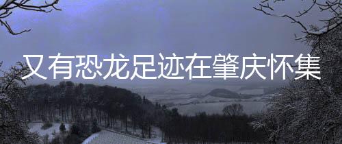 寻找化石的怀集能力相当不俗