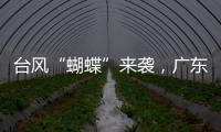 台风“蝴蝶”来袭�，广东如何应对