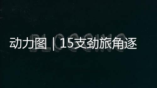 为中国桥牌储备未来之星