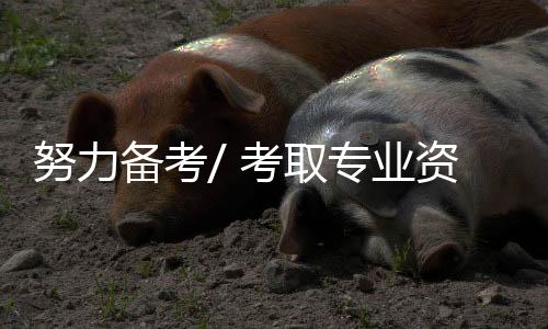 用规范的努力字体完成考试