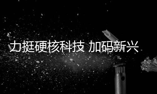 力挺以及资本开支强劲增长
