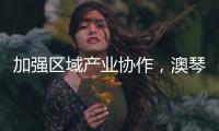 加强区域产业协作，澳琴组团赴华东地区招商引资