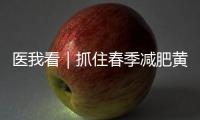 医我看｜抓住春季减肥黄金期�！省中医院珠海医院举行体重管理义诊活动