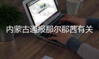 内蒙古通报那尔那茜有关核查情况：涉嫌高考报名材料造假