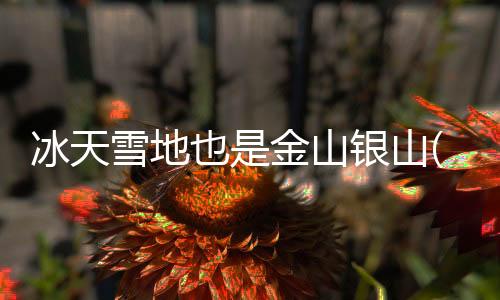 也金以冬奥会筹办为契机