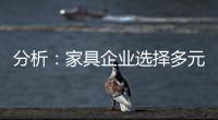 分析�：家具企业选择多元化发展还是专业化道路?