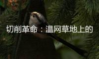 切削革命：温网草地上的隐秘武器