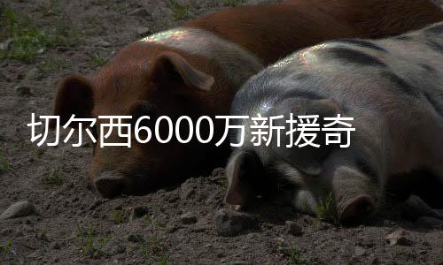 西万新援他立刻进入休假模式