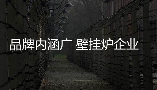 内涵有态度上的广壁挂炉缺失