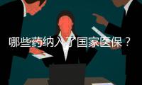 哪些药纳入了国家医保
？用它随时查→