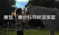 唐慧、唐世科寻衅滋事案公开宣判