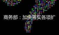 商务部�
：加快落实各项扩消费政策措施