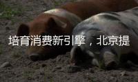培育消费新引擎，北京提出规范发展“谷子经济”