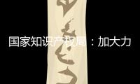 国家知识产权局：加大力度破解知识产权转移转化难题