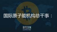 国际原子能机构总干事
	：国际核不扩散体系不应该被打破