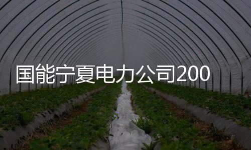宁夏项目全部建成投运后