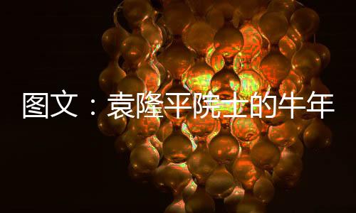 还用英文说“happy new year”