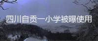 四川自贡一小学被曝使用发臭猪肉
，官方通报