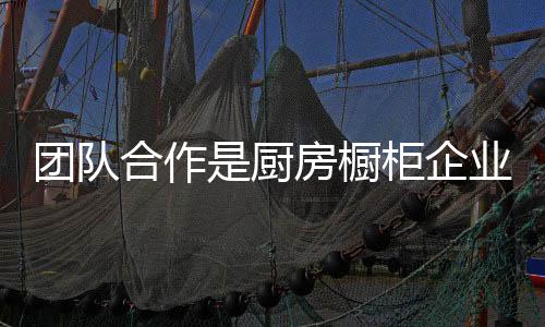 厨房橱柜提出解决方案