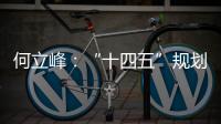 何立峰：“十四五”规划纲要草案指标就像“奋力一跳可以摘到的树上的桃子”
