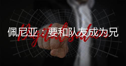 佩尼整体的亚和速度