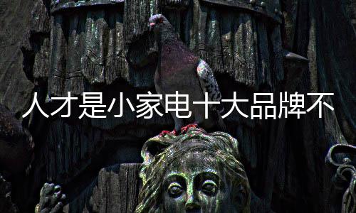 对于小家电十大品牌而言