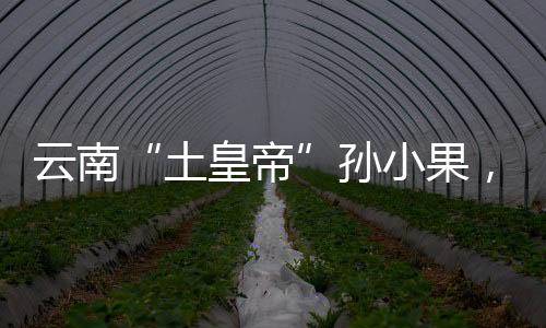 轰动全国的案件1997年