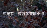 亚足联	�
：亚冠东亚区小组赛延期至6