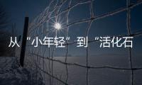 快排公司十年历程，霸屏兔 seo 的崛起与坚守