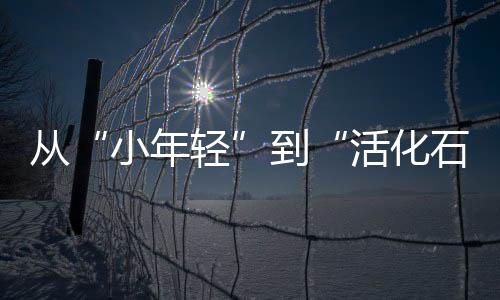 就是小年轻金平98岁生日