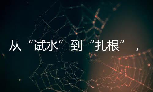 他们积极接受媒体采访