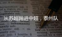 快排公司十年历程，霸屏兔 seo 的崛起与坚守