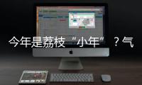 今年是荔枝“小年”
？气候影响是主因