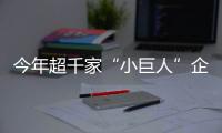 今年超千家“小巨人”企业将获财政奖补支持