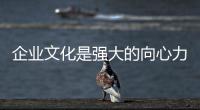 企业文化是强大的向心力 板材企业要重视