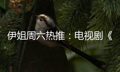 在迷失中寻回初心与爱