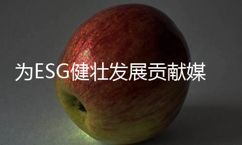 贡献丨南在研究输出方面
