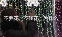 不养花�、不碰花	，为什么还会花粉过敏
？