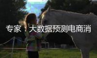专家：大数据预测电商消费潮流