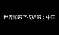 世界知识产权组织：中国是国际专利申请最大来源国