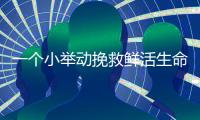 一个小举动挽救鲜活生命！珠海快递小哥化身“城市哨兵”