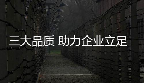 都会遇到这样那样的大品问题