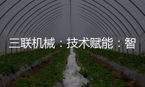 化转生产建筑垃圾砌块