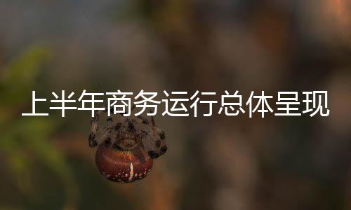 体呈商务高质量发展稳步推进