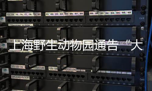 已完善非洲象社群饲养方案